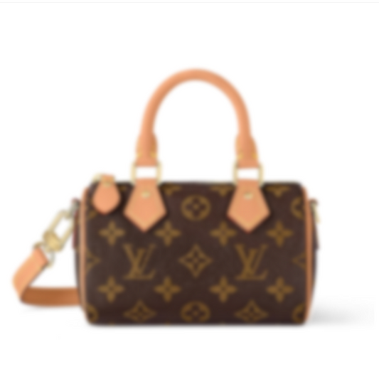 lv Handbag 27
