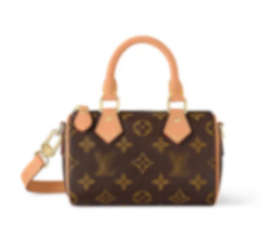 LV Handbag 6